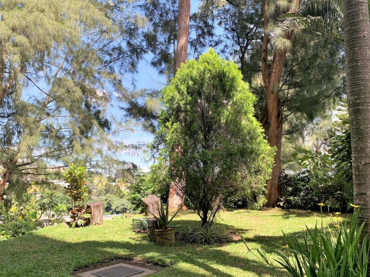 Luxury Modrn Apartment, W/Amazing View, 3Br,Escalon,Exclus,Secur San Salvador Exterior photo